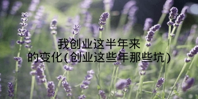 我创业这半年来的变化(创业这些年那些坑)