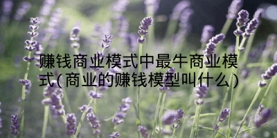 赚钱商业模式中最牛商业模式(商业的赚钱模型叫什么)