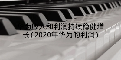 华为收入和利润持续稳健增长(2020年华为的利润)