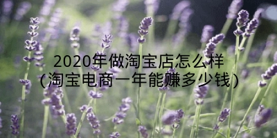 2020年做淘宝店怎么样(淘宝电商一年能赚多少钱)