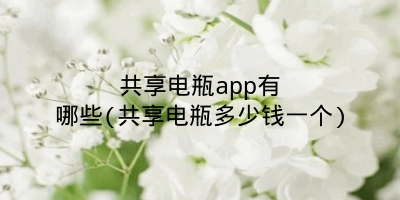 共享电瓶app有哪些(共享电瓶多少钱一个)