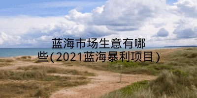 蓝海市场生意有哪些(2021蓝海暴利项目)