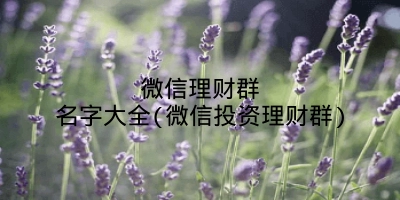 微信理财群名字大全(微信投资理财群)