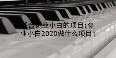 适合创业小白的项目(创业小白2020做什么项目)