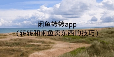 闲鱼转转app(转转和闲鱼卖东西的技巧)