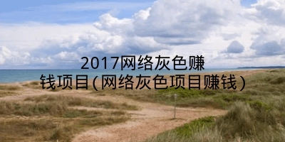 2017网络灰色赚钱项目(网络灰色项目赚钱)