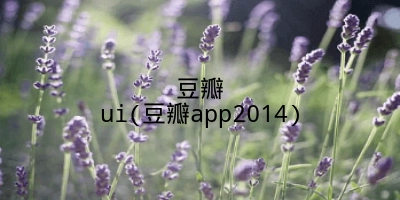 豆瓣ui(豆瓣app2014)