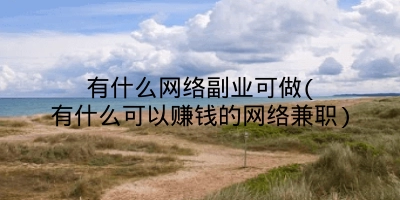 有什么网络副业可做(有什么可以赚钱的网络兼职)