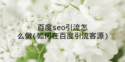 百度seo引流怎么做(如何在百度引流客源)