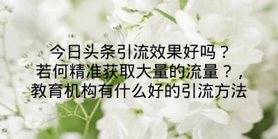 今日头条引流效果好吗？若何精准获取大量的流量？,教育机构有什么好的引流方法