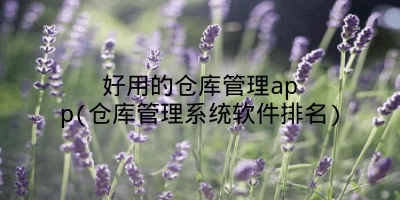 好用的仓库管理app(仓库管理系统软件排名)