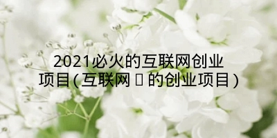 2021必火的互联网创业项目(互联网➕的创业项目)