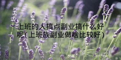 上班的人搞点副业搞什么好呢(上班族副业做啥比较好)