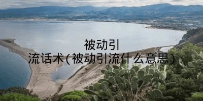 被动引流话术(被动引流什么意思)