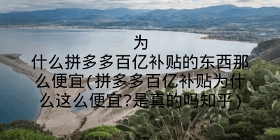 为什么拼多多百亿补贴的东西那么便宜(拼多多百亿补贴为什么这么便宜?是真的吗知乎)