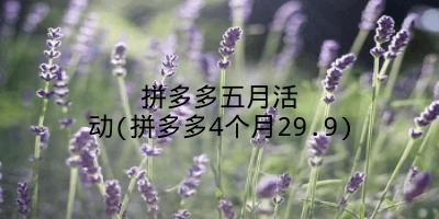 拼多多五月活动(拼多多4个月29.9)