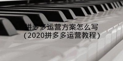 拼多多运营方案怎么写(2020拼多多运营教程)