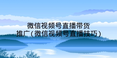 微信视频号直播带货推广(微信视频号直播技巧)