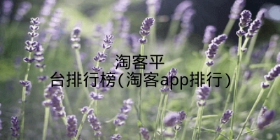 淘客平台排行榜(淘客app排行)