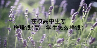 在校高中生怎样赚钱(高中学生怎么挣钱)