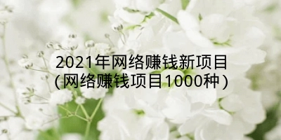 2021年网络赚钱新项目(网络赚钱项目1000种)