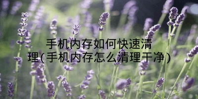 手机内存如何快速清理(手机内存怎么清理干净)