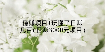 稳赚项目!玩懂了日赚几百(日赚3000元项目)