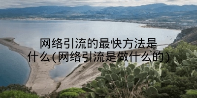 网络引流的最快方法是什么(网络引流是做什么的)