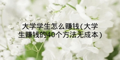 大学学生怎么赚钱(大学生赚钱的40个方法无成本)