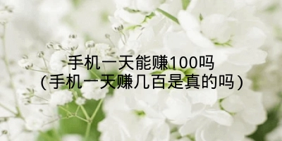 手机一天能赚100吗(手机一天赚几百是真的吗)