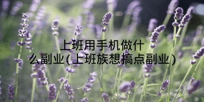 上班用手机做什么副业(上班族想搞点副业)