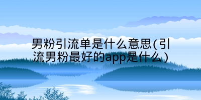 男粉引流单是什么意思(引流男粉最好的app是什么)