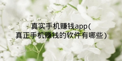 真实手机赚钱app(真正手机赚钱的软件有哪些)