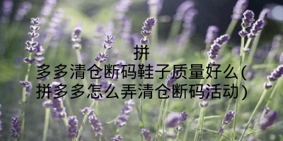 拼多多清仓断码鞋子质量好么(拼多多怎么弄清仓断码活动)