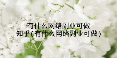 有什么网络副业可做知乎(有什么网络副业可做)