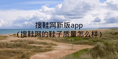 搜鞋网新版app(搜鞋网的鞋子质量怎么样)