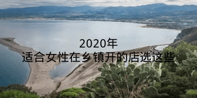 2020年适合女性在乡镇开的店选这些