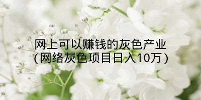 网上可以赚钱的灰色产业(网络灰色项目日入10万)