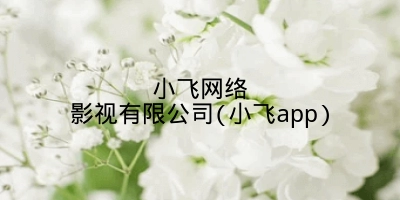 小飞网络影视有限公司(小飞app)