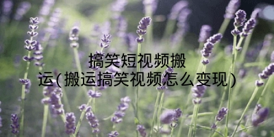 搞笑短视频搬运(搬运搞笑视频怎么变现)