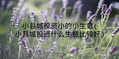 小县城投资小的小生意(小县城投资什么生意比较好)