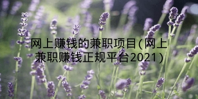 网上赚钱的兼职项目(网上兼职赚钱正规平台2021)