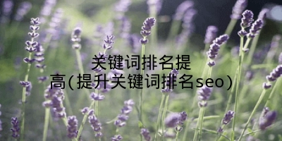 关键词排名提高(提升关键词排名seo)