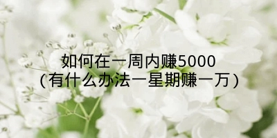 如何在一周内赚5000(有什么办法一星期赚一万)