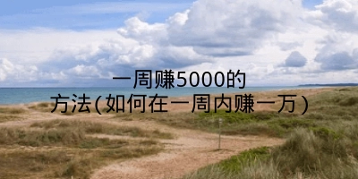 一周赚5000的方法(如何在一周内赚一万)