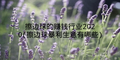 擦边球的赚钱行业2020(擦边球暴利生意有哪些)