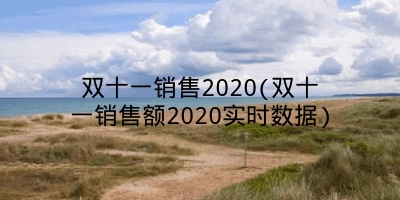 双十一销售2020(双十一销售额2020实时数据)