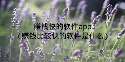 赚钱快的软件app(赚钱比较快的软件是什么)