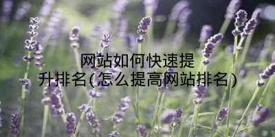 网站如何快速提升排名(怎么提高网站排名)