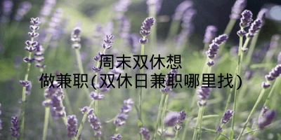 周末双休想做兼职(双休日兼职哪里找)